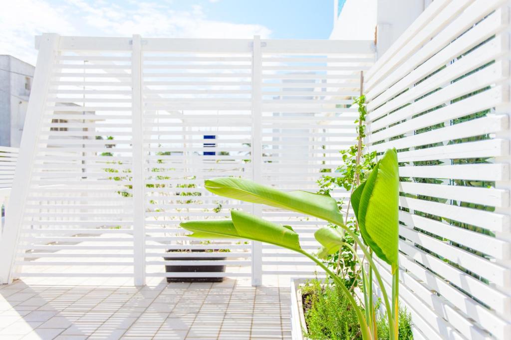 Zahrada ubytování Apulia Hotel Ugento Cala Blu