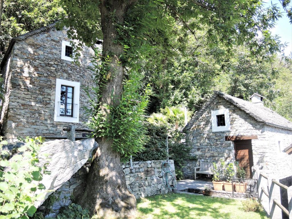 een stenen huis met een boom ervoor bij Rustico Gatto & Topolino in Agarone