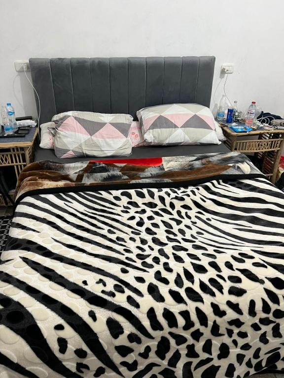 Letto o letti in una camera di Oasis Camp