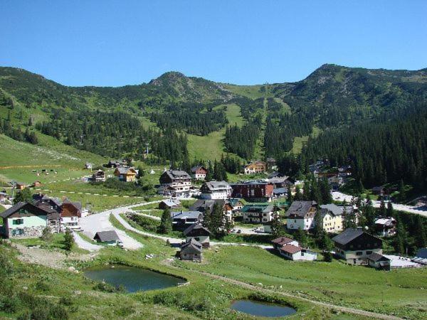 Příroda nedaleko hotelu