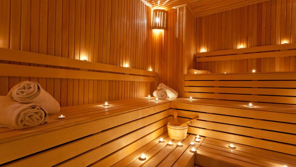 Vega Hotel - Business Double Room Danube View With Spa Access