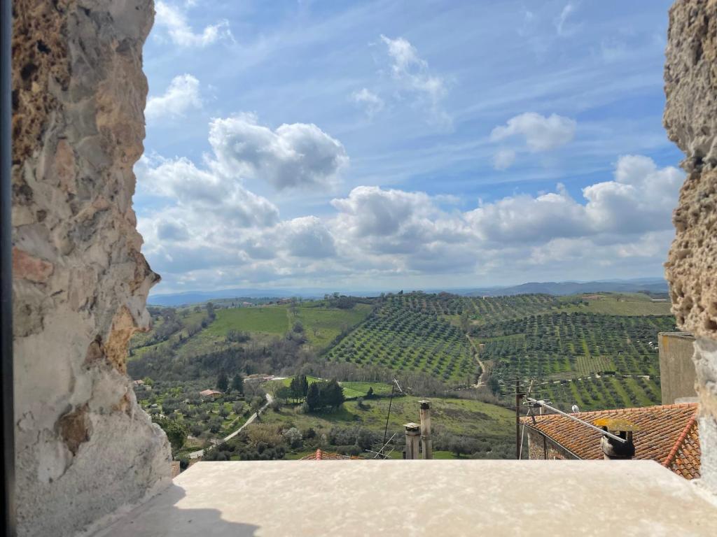 una ventana del castillo con vistas a un viñedo en Saturnia Country Loft Montemerano ( Terme a 6 km), en Montemerano
