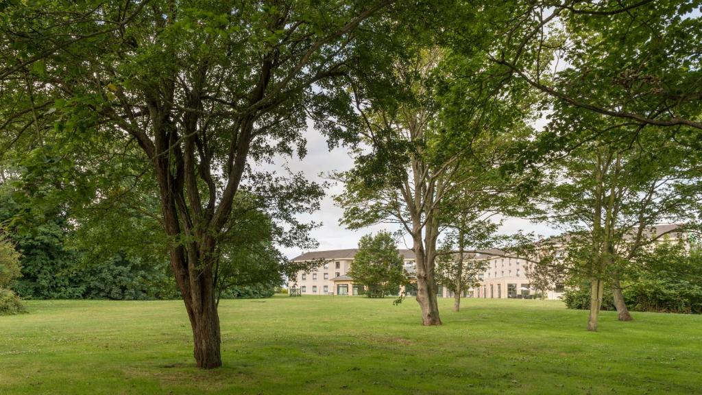 a group of trees in front of a building at Holiday Inn Calais Coquelles, an IHG Hotel in Coquelles