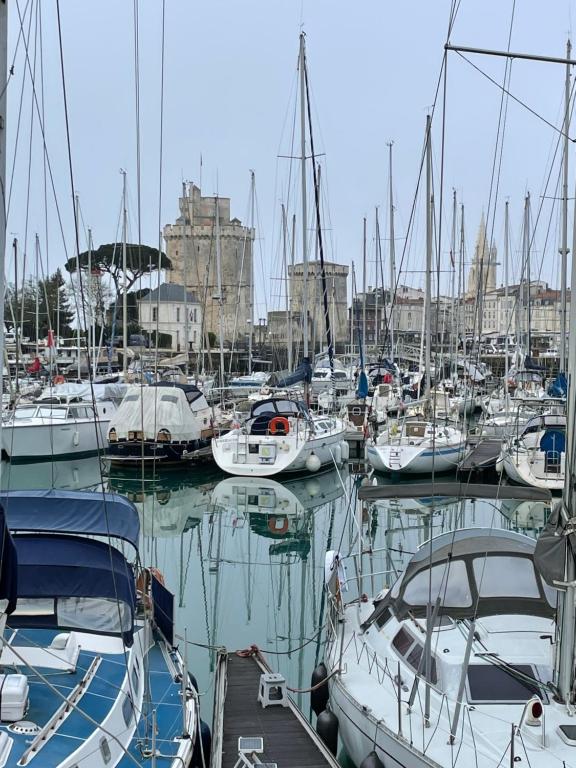 a bunch of boats docked in a harbor at STUDIO de charme COSY BED, LA ROCHELLE in La Rochelle