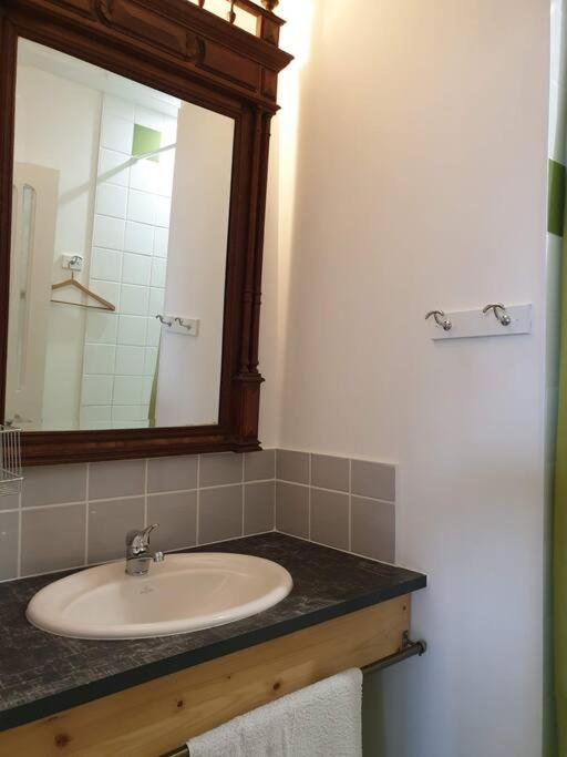 a bathroom with a sink and a mirror at Le Nid des Anges, votre studio à la campagne. in Saint-Laurent-du-Plan