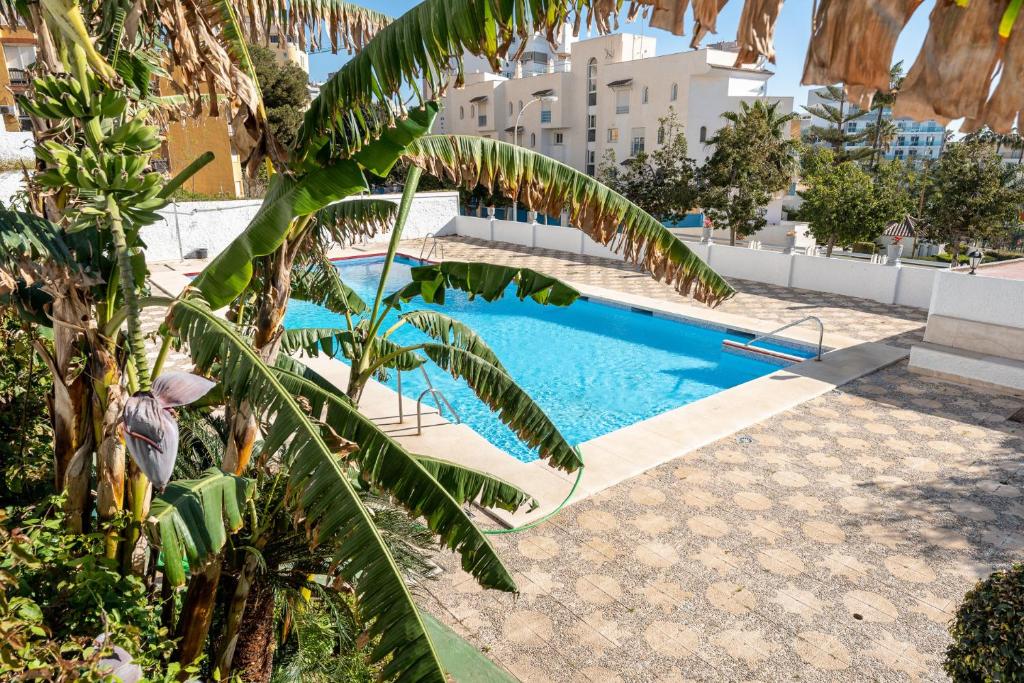 a pool with a palm tree next to a building at MalagaSuite Holidays Torremolinos in Torremolinos