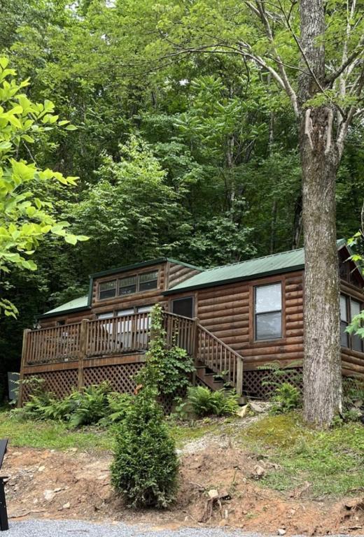 Wilderness Cove Campground, Saluda, NC