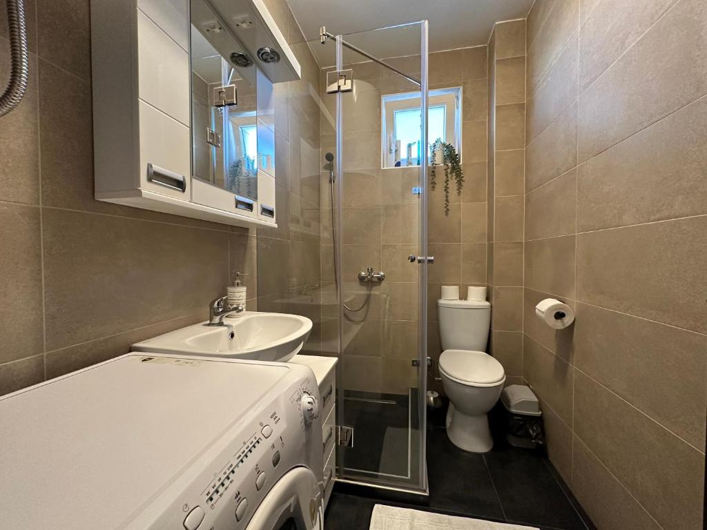Koupelna v ubytování Apartment Aura