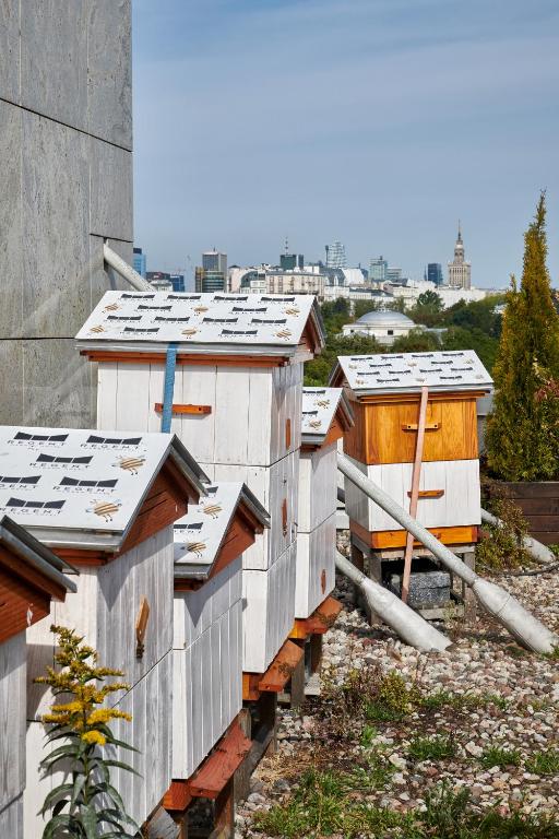 Regent Warsaw Hotel - Resim 34