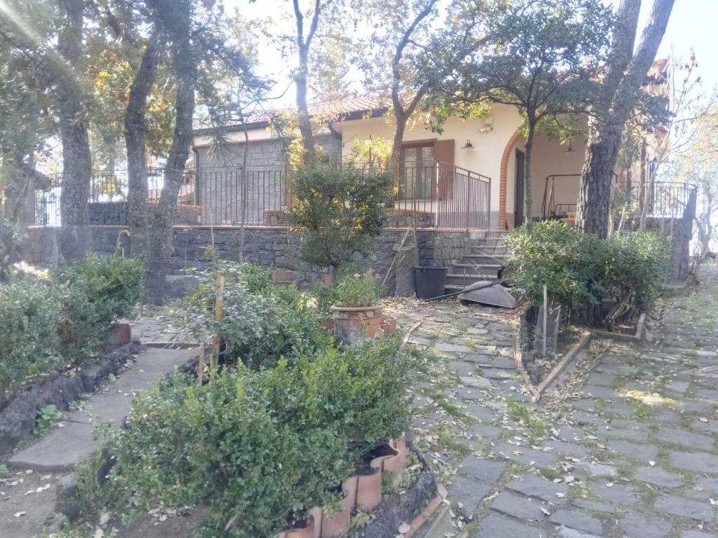 a garden in front of a house with trees at Casale Boschetto Etna in Biancavilla