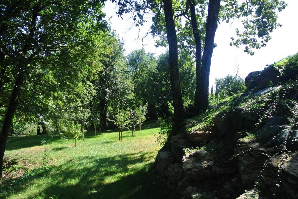 a stone wall in a park with trees and grass at A L'Orée du Bois in Rillieux