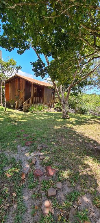 una casa con un albero davanti di Beach Bangalô Corumbau a Corumbau