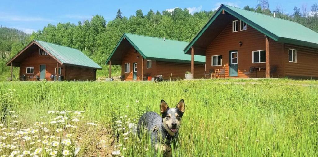 EML Cabin 10, Paonia (aktualisierte Preise für 2024)