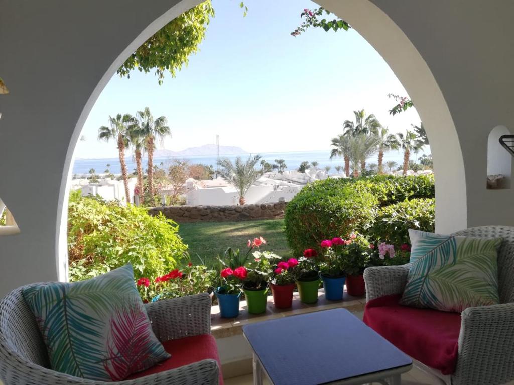 Domina coral bay, Sharm El Sheikh (updated prices 2024)