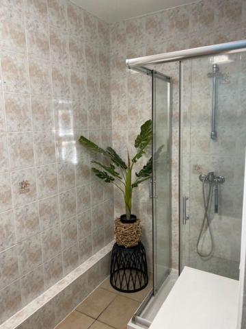 a bathroom with a shower and a potted plant at Le Moulin du Modon in Couffy