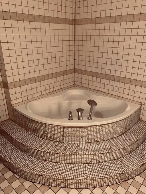 Fotografie z fotogalerie ubytování soukromý apartmán Přemysl v Nymburku