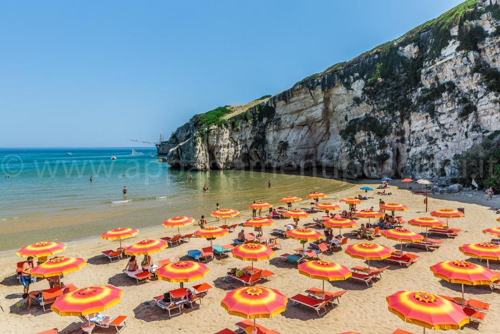 Ein Haufen Sonnenschirme und Stühle am Strand in der Unterkunft Appartamento Peschici in Peschici