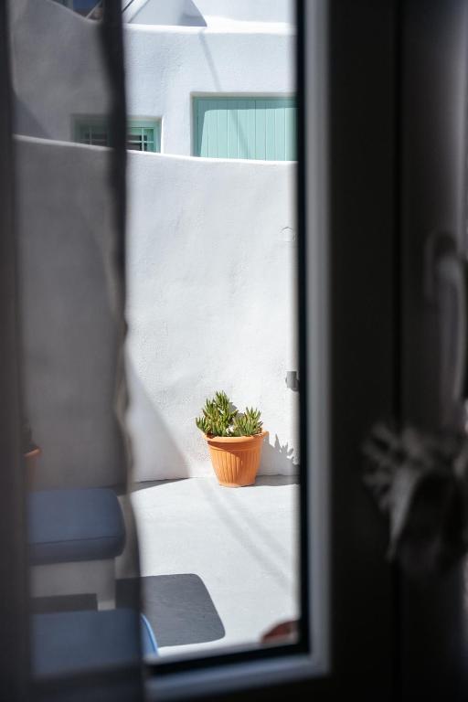 Fotografie z fotogalerie ubytování White Swallow Suite Santorini v destinaci Vourvoúlos