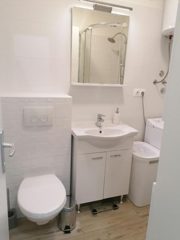 Koupelna v ubytování Apartman Petra