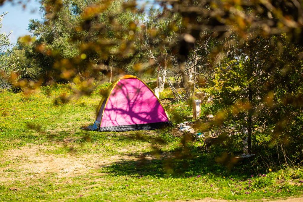 una tienda rosa sentada en el césped en un campo en camping panorama en Ouazzane