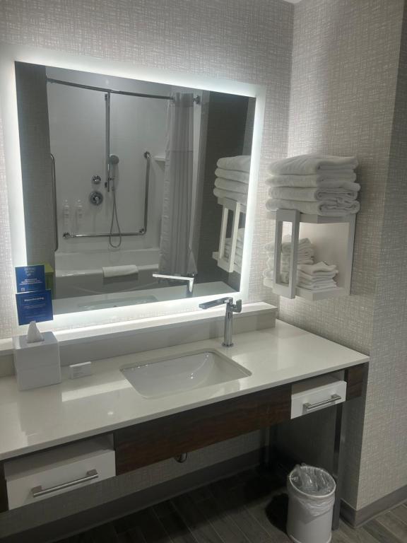 a bathroom with a sink and a large mirror at Hampton Inn By Hilton Kingston in Kingston