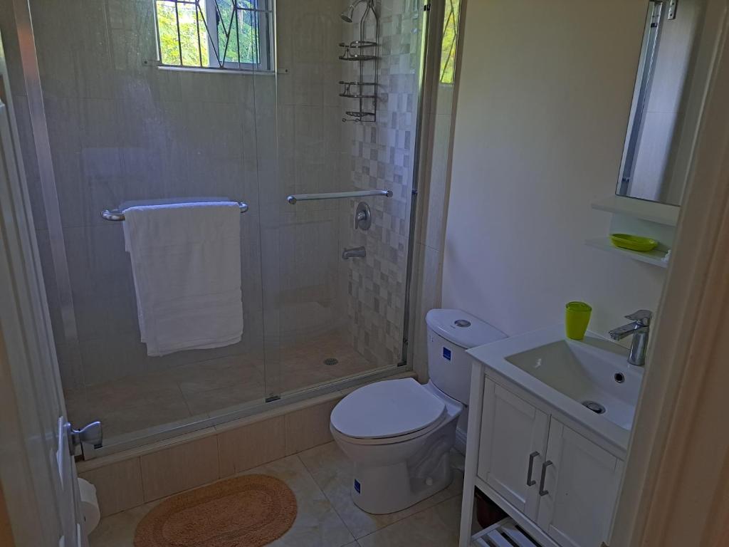 W łazience znajduje się prysznic, toaleta i umywalka. w obiekcie palmview estate townhouse w mieście Mammee Bay