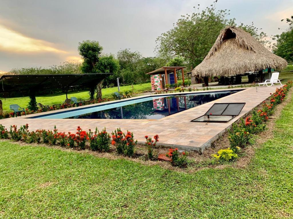 een zwembad met een grashut en bloemen bij Los Potrillos in Mariquita