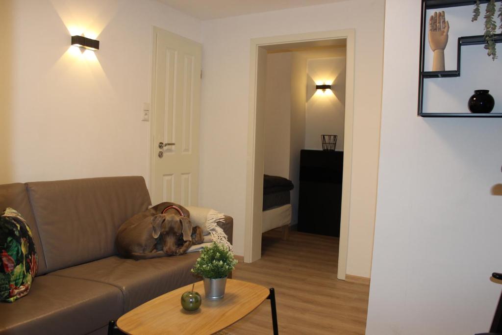 Posezení v ubytování KLEINE SOUTERRAIN WOHNUNG NÄHE HAMBURG