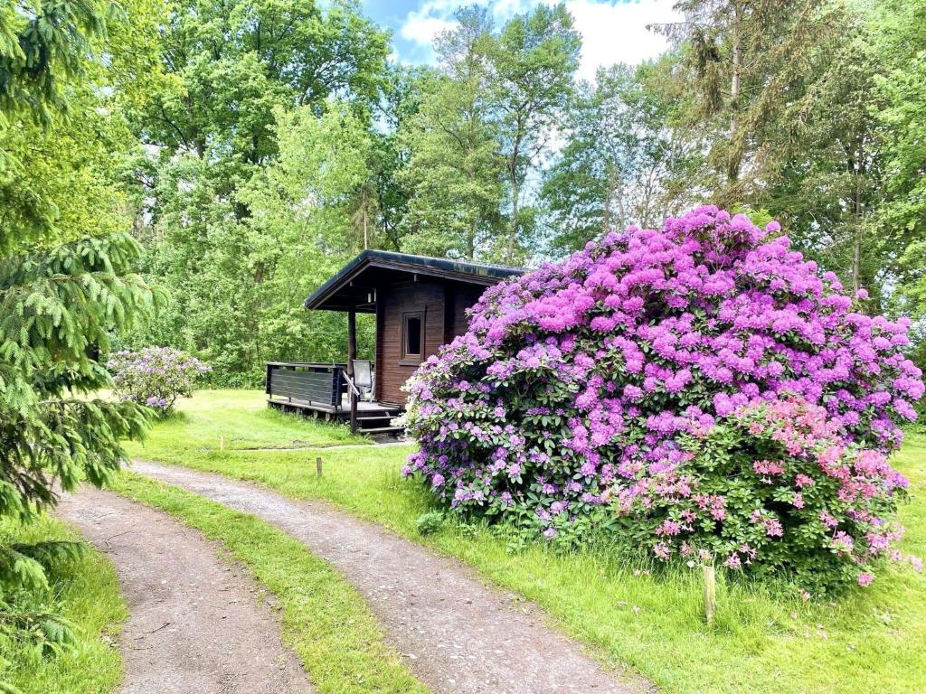 um arbusto de flores cor-de-rosa em frente a uma cabana em Cozy holiday home on a horse farm in the Lüneburg Heath em Eschede