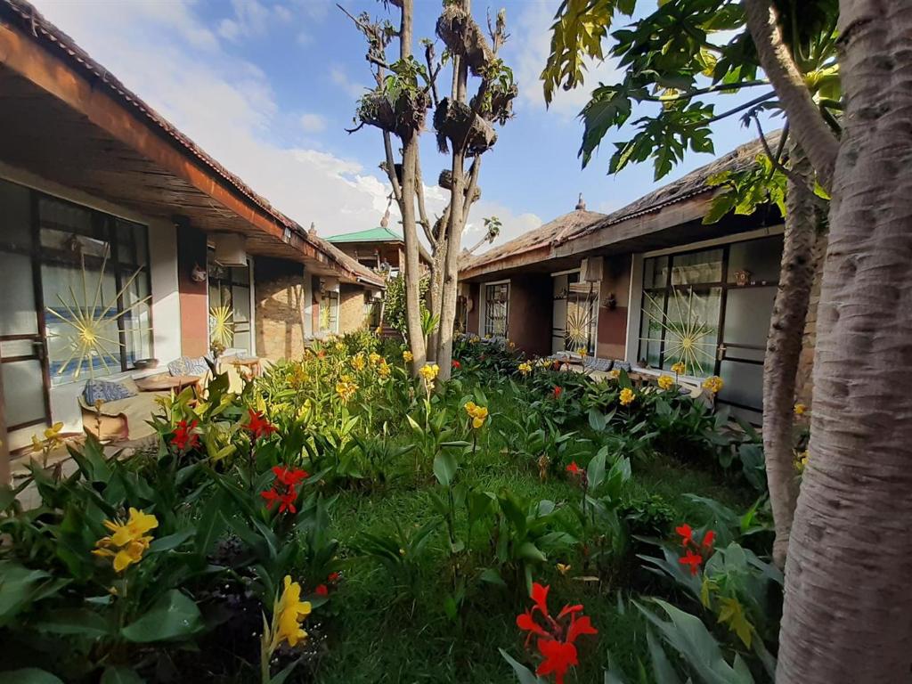 a garden of flowers in front of a building at Lodge Du Chateau in Gonder