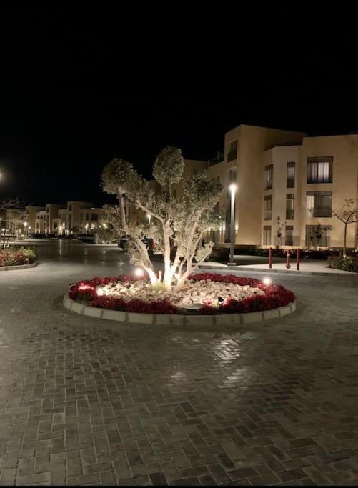 Kép Mangroovy - 2BR La Blanca Pool View szállásáról Gurdakában a galériában