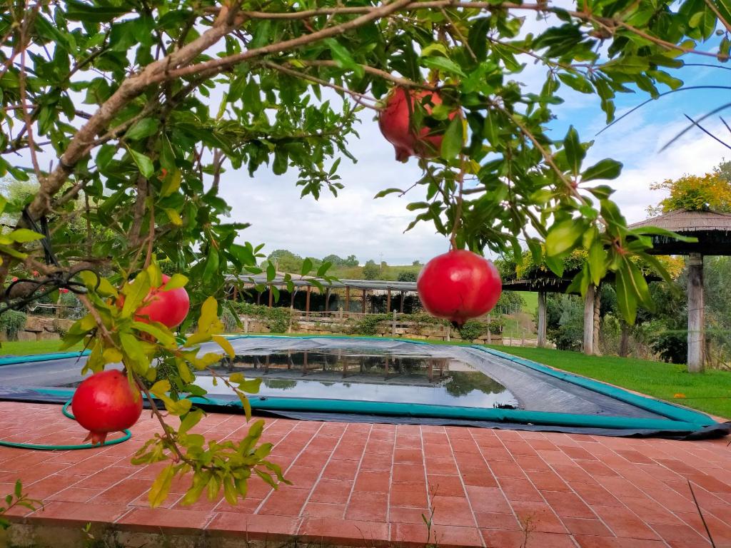 Bazén v ubytování AGRITURISMO PODERUCCIO nebo v jeho okolí