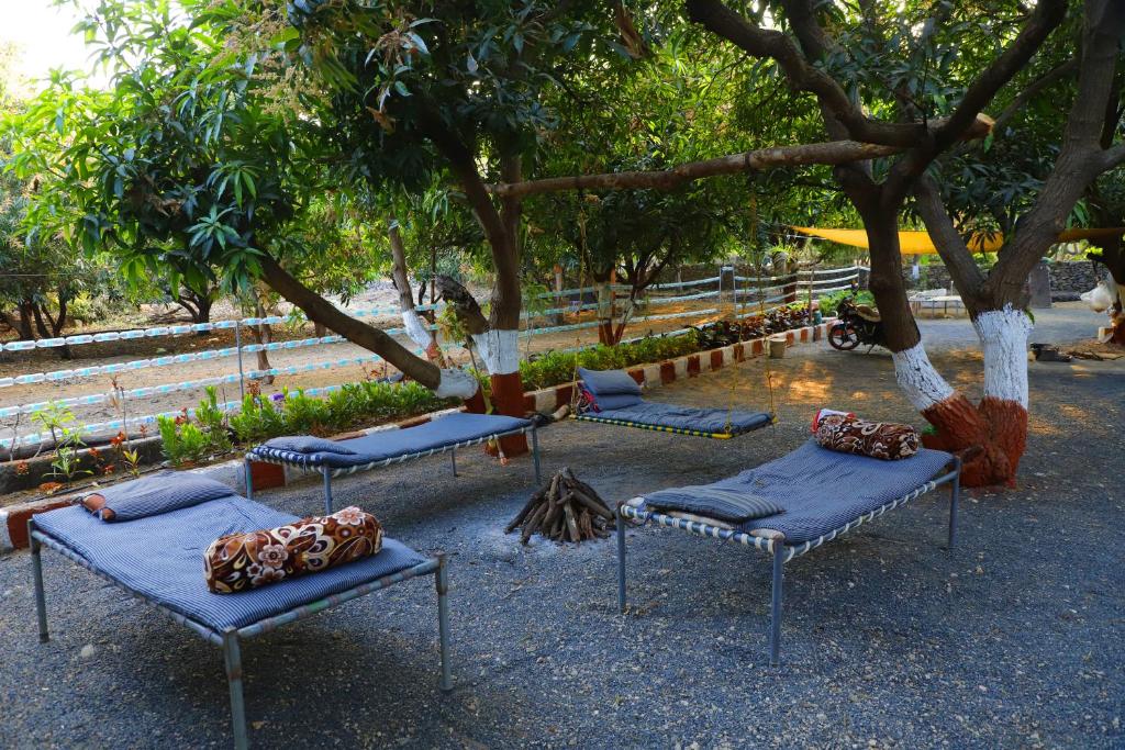 a group of beds sitting under a tree at Gir Ganesh Farm & Resort in Sasan Gir