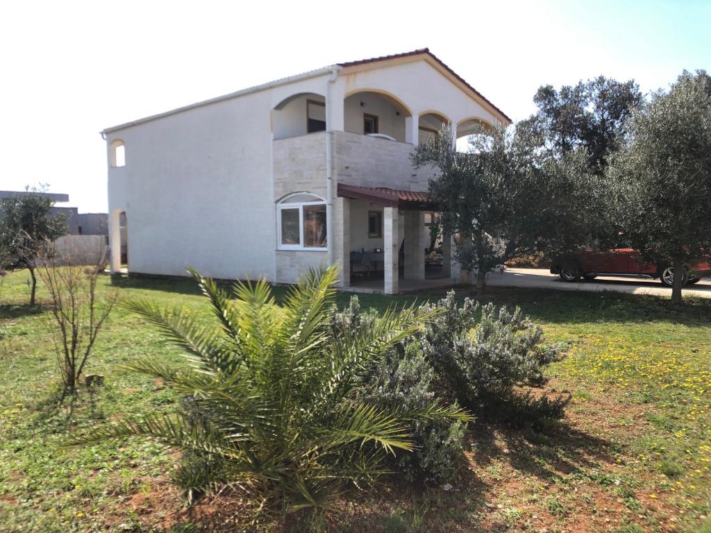 a house with a palm tree in front of it at Apartments Marija in Vir