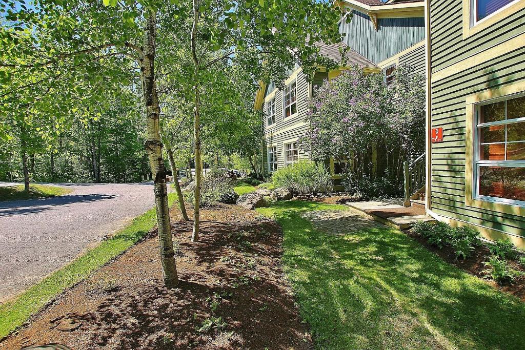 un árbol en un patio al lado de una casa en Tremblant Les Eaux by Rendez-Vous Mont-Tremblant en Mont-Tremblant