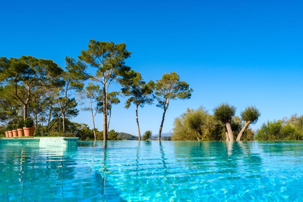 una piscina de agua azul con árboles en el fondo en Finca Sa Bastida Luxury Retreat & Spa Adults Only en Sant Joan