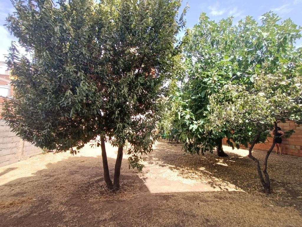 Zahrada ubytování Vivienda rural Los Iberos M&M,