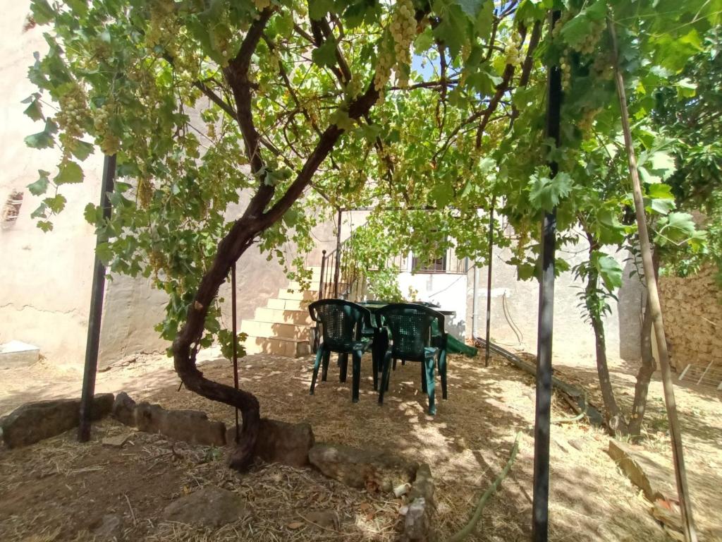 Zahrada ubytování Vivienda rural Los Iberos M&M,