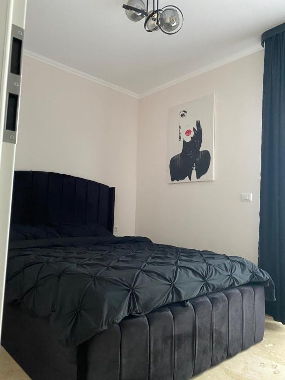 - une chambre avec un lit noir et une peinture d'un chat dans l'établissement Apartament Timisoara 4, à Timişoara