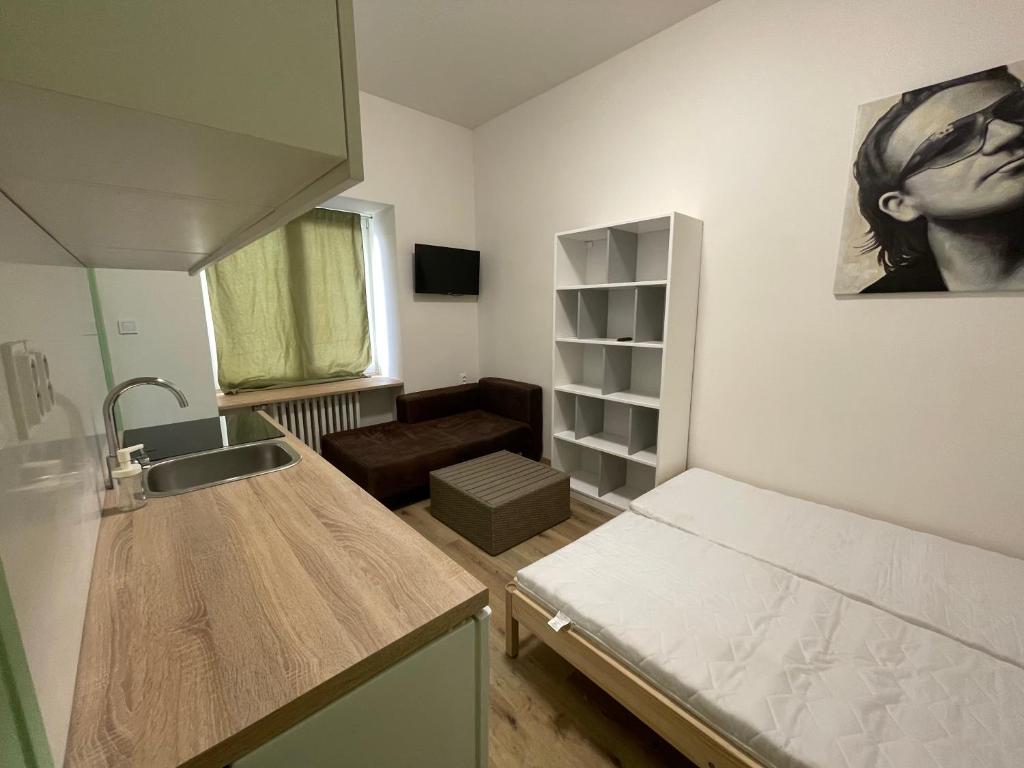 Kleines Zimmer mit einer Küche und einem Waschbecken in der Unterkunft Red&Black Apartment City centr, Na Hradbách 118 in Ostrava