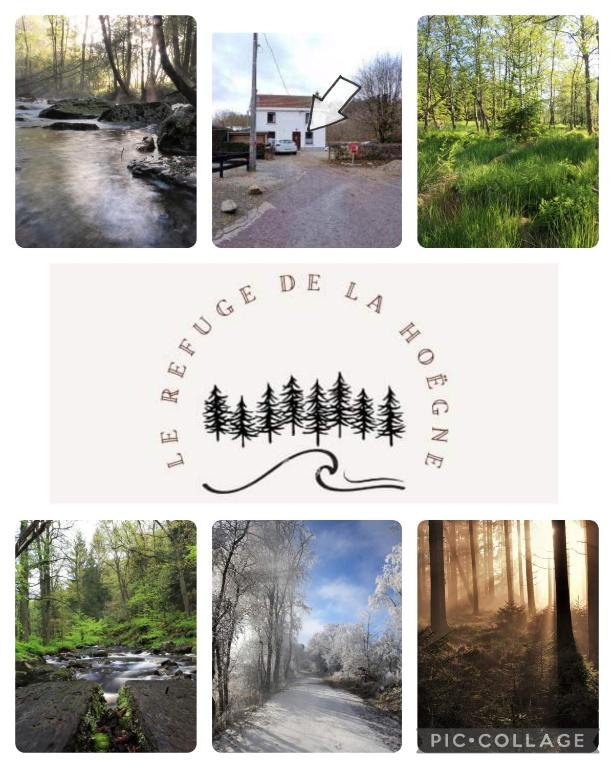 a collage of photos with trees in the middle at Le refuge de la hoegne in Solwaster