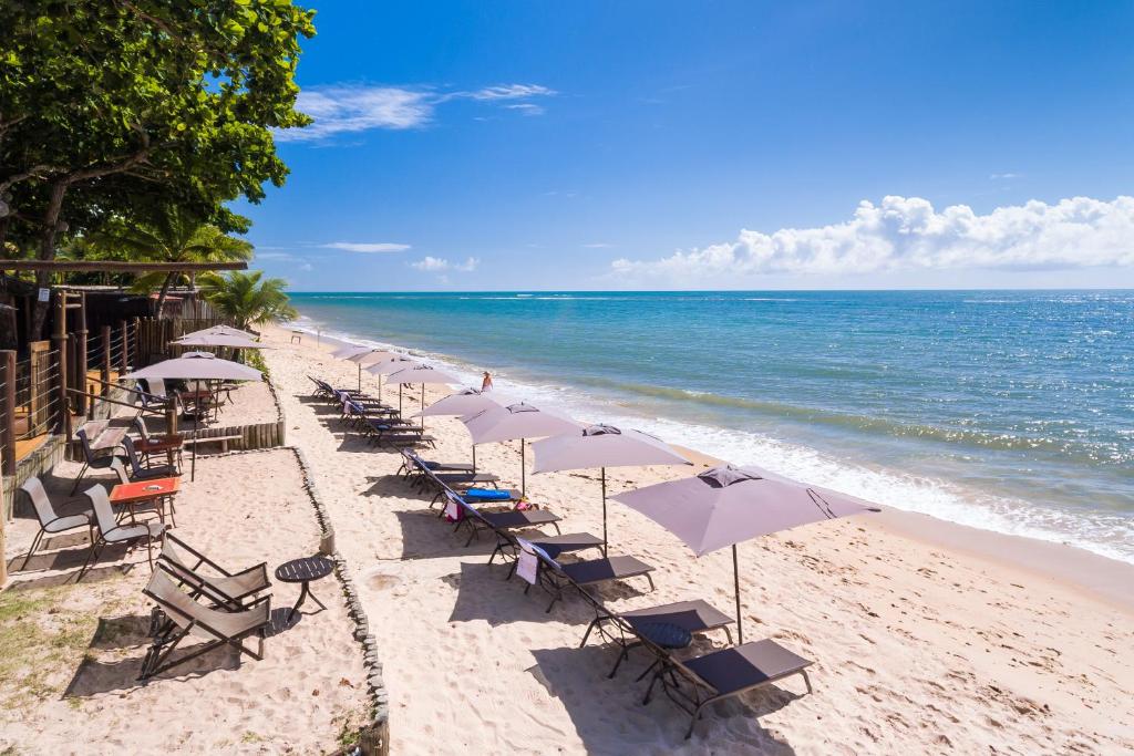 a row of chairs and umbrellas on a beach at Pousada Rigatoni in Arraial d'Ajuda