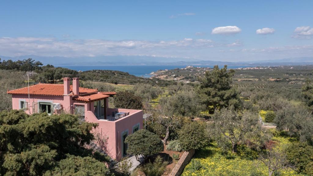 an aerial view of a pink house with trees at Eleni's House in Asopós