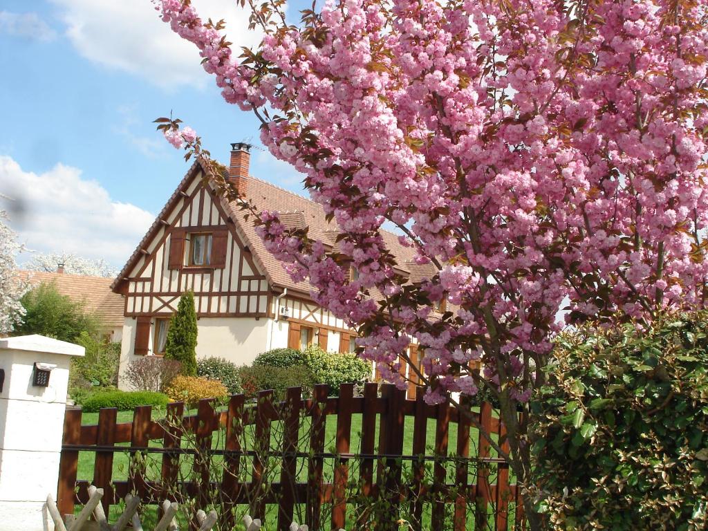 a tree with purple flowers in front of a house at Chambres d'Hôtes Au Temps Des Cerises in Jumièges