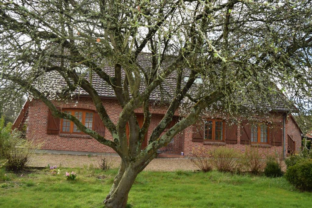 Zahrada ubytování Les chambres d hôtes de l entre deux baies à Merlimont entre Berck et le Touquet