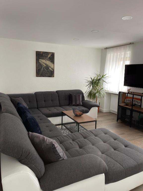 a living room with a couch and a tv at Propeller Gästehaus OG in Eppingen