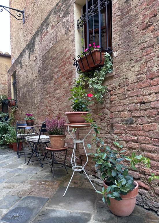 Fotografie z fotogalerie ubytování La Casina v destinaci Buonconvento
