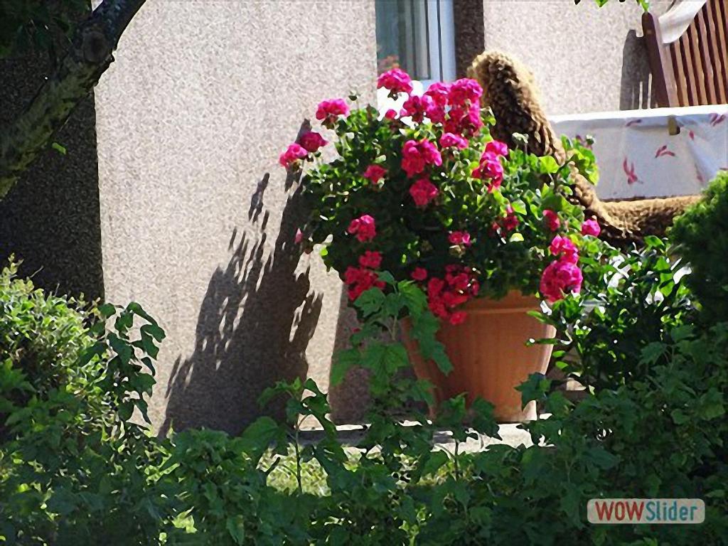 Zahrada ubytování Ferienwohnung Greim