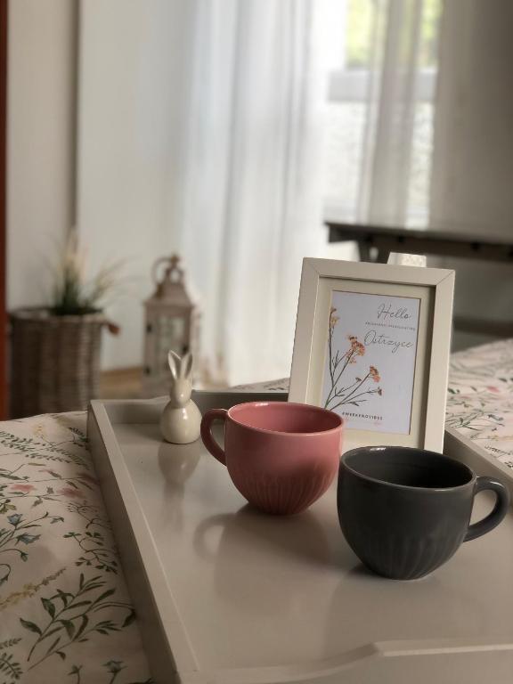 Postel nebo postele na pokoji v ubytování Pokoje agroturystyczne U Hani