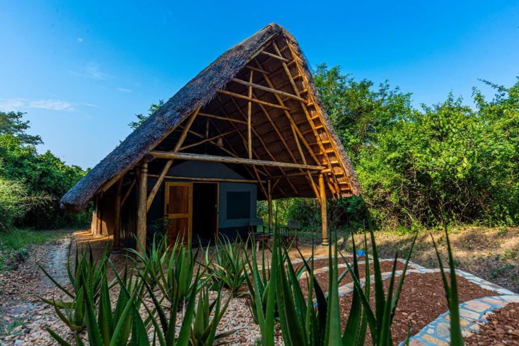 een kleine hut met een rieten dak in een veld bij The park view lodge Queen Elizabeth N P in Kichwamba